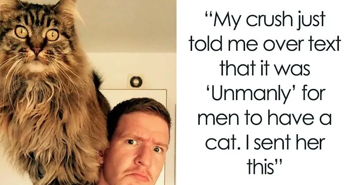 50 Of The Funniest Cat Pictures On The Internet (New Pics)
