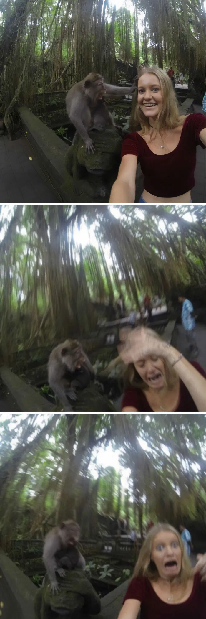 Person takes a selfie with a funny monkey reacting in surprise.