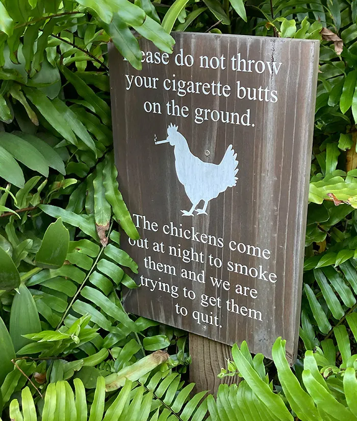 Funny sign in bushes warning not to throw cigarette butts, mentioning smoking chickens trying to quit.