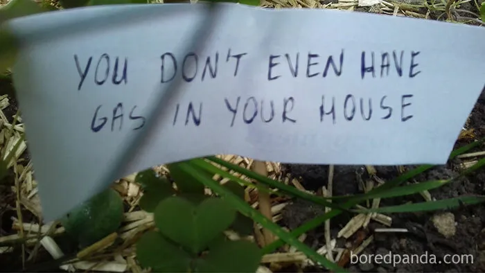 Person Wants To Scare Off Snails That Keep Munching On His Plants, Puts Up 13 'Intimidating' Signs