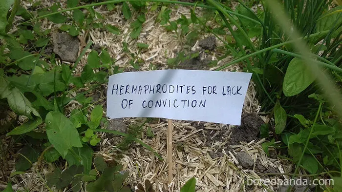 Person Wants To Scare Off Snails That Keep Munching On His Plants, Puts Up 13 'Intimidating' Signs