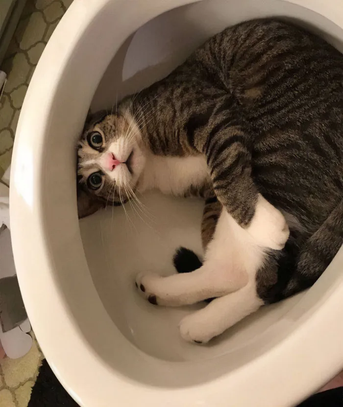 How Do You Even Get Stuck Like This