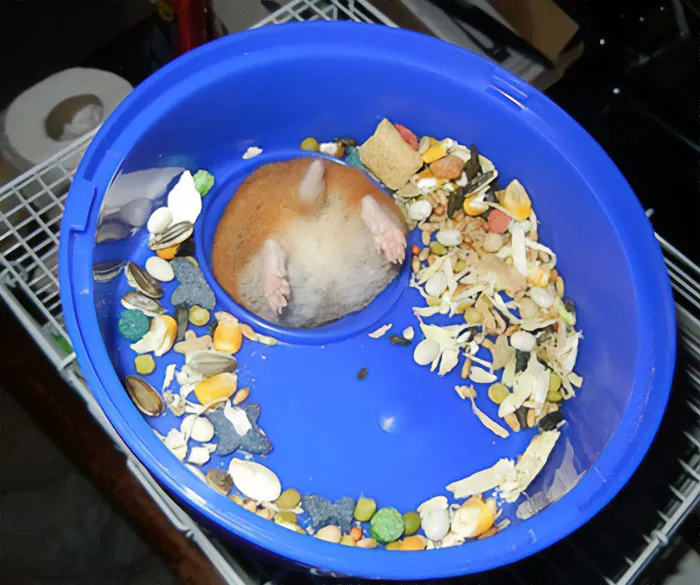 He Got Stuck