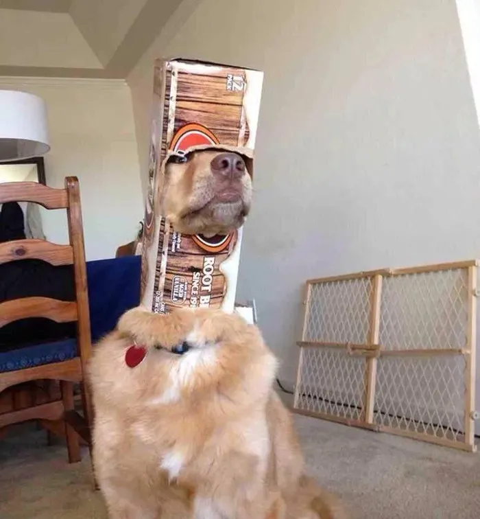 Ready For Combat!