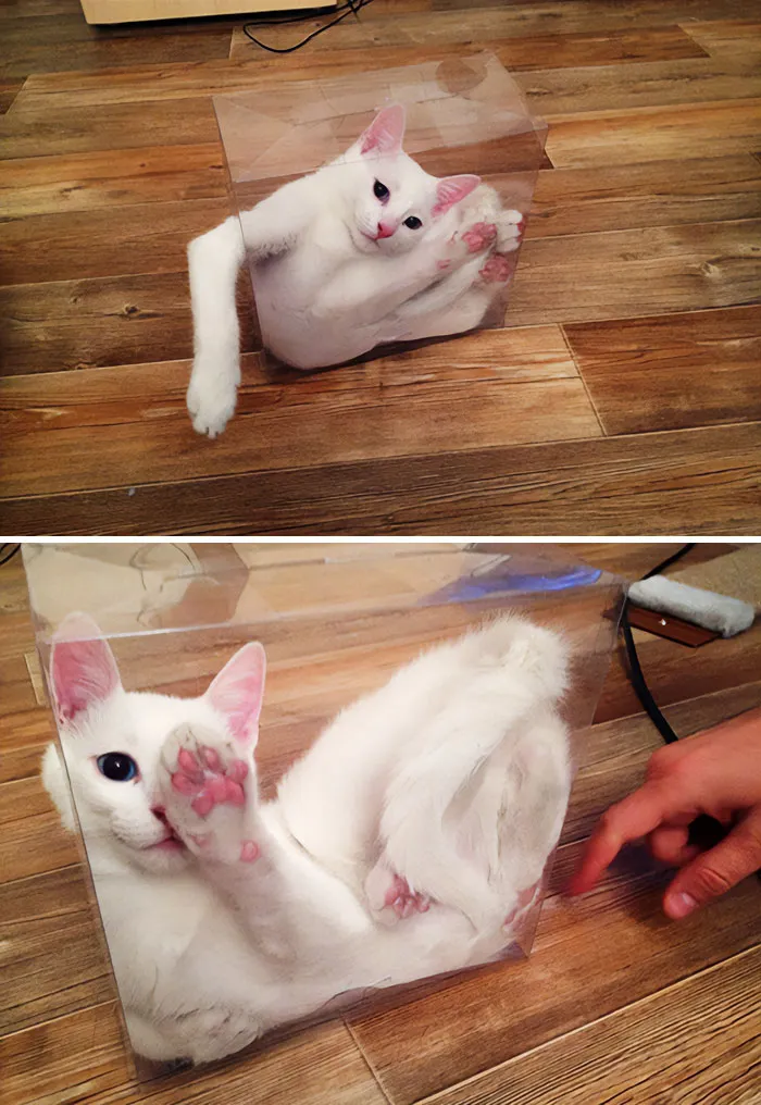 I Guess This Is My Life Now