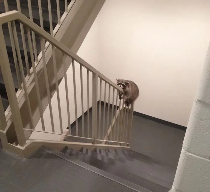 The Situation At My Friends Apartment Right Now