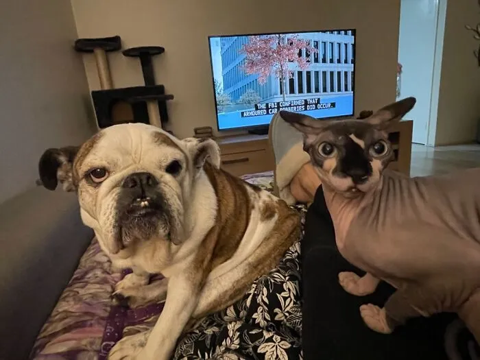 Double Grump