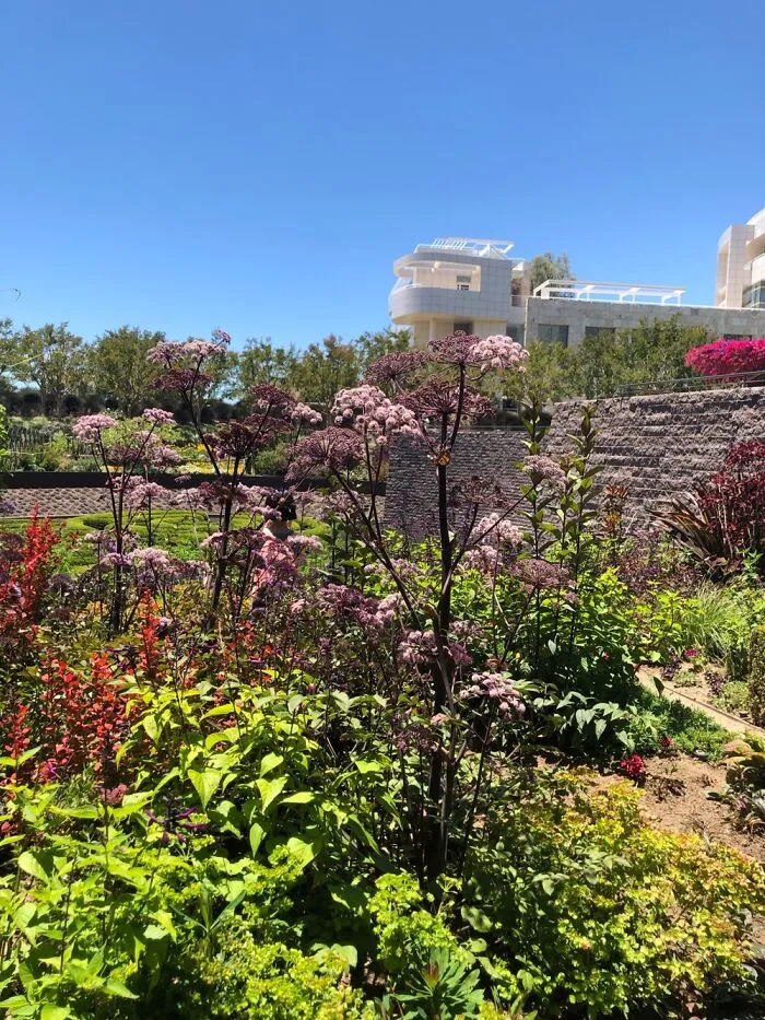 Hot Day At Getty Center