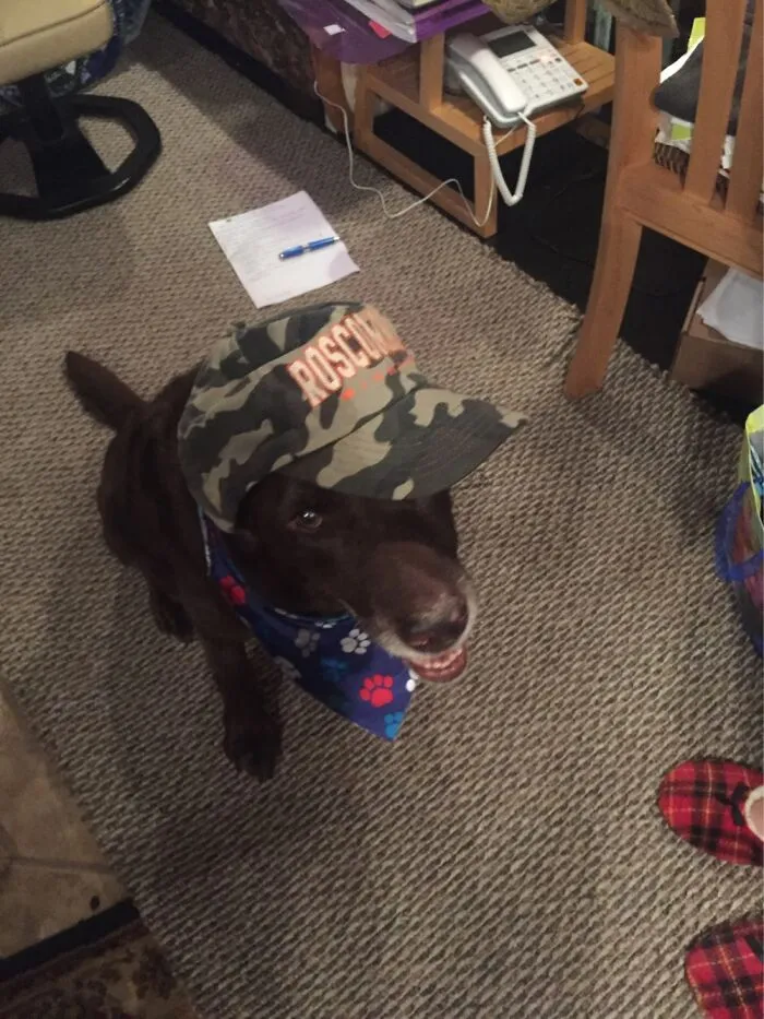 Ima Derp!