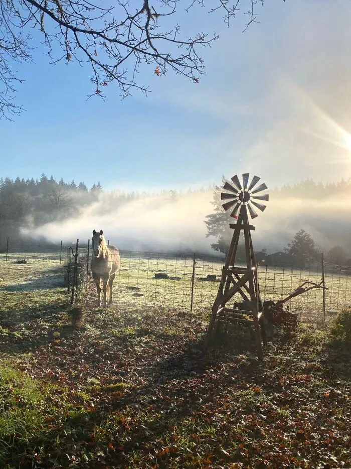 Fog Rolling In Across The Pasture