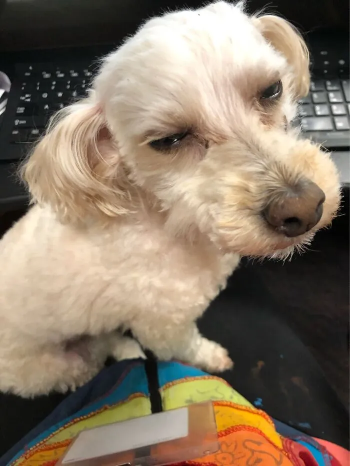 Gryphon Didn’t Like Hanging Out With Me At Work On A Weekend