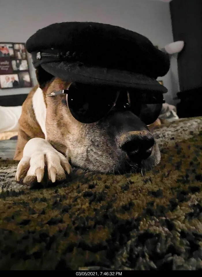 Wally Tha Hipster