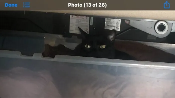 Beware...jinx Is Looking At You