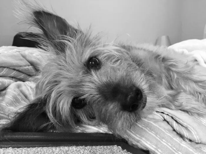 Scout, Age 9