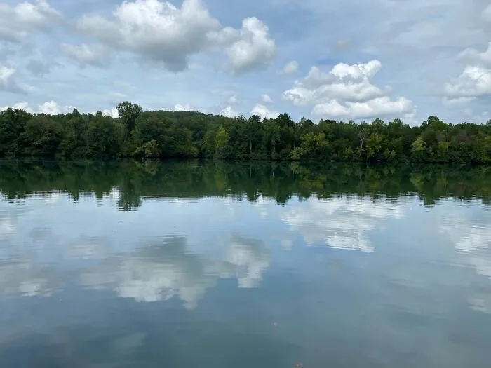 This Local River