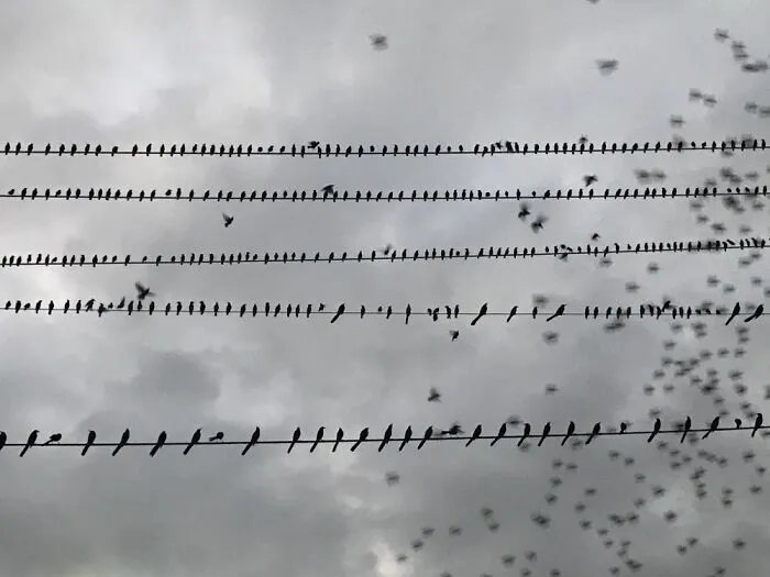 Social Distancing-Nature’s Way
