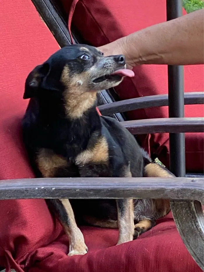 Blep-