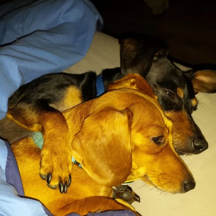 He Loves Her!