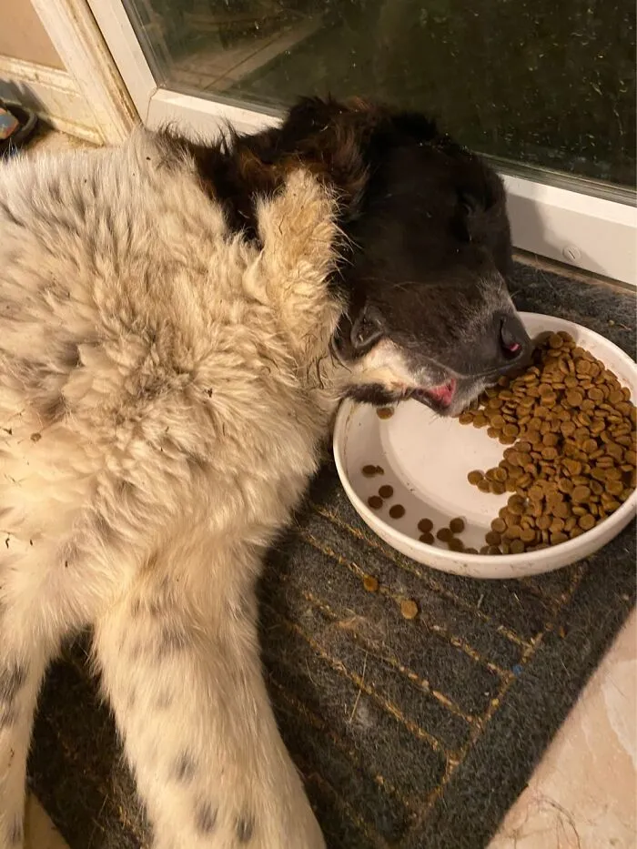 Mmmmm Food Coma