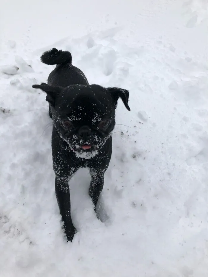 Little Pearls First Snow Day. She Loves It!