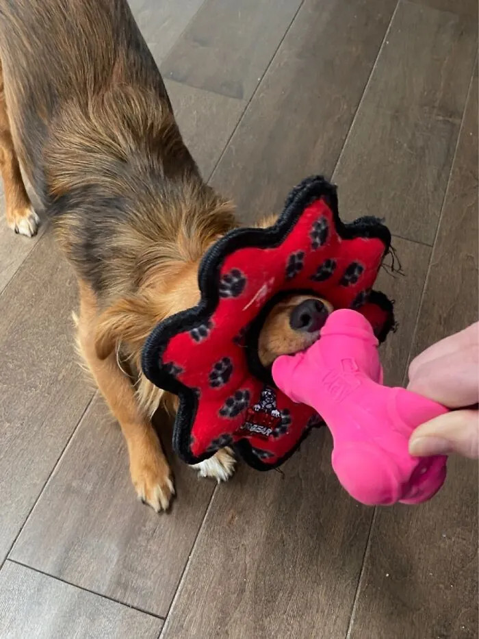 I’ll Make It Fit!