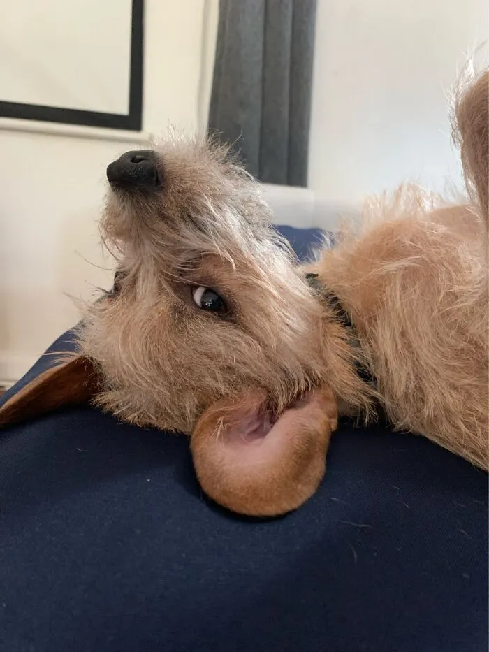 The Side Eye Of Judgement