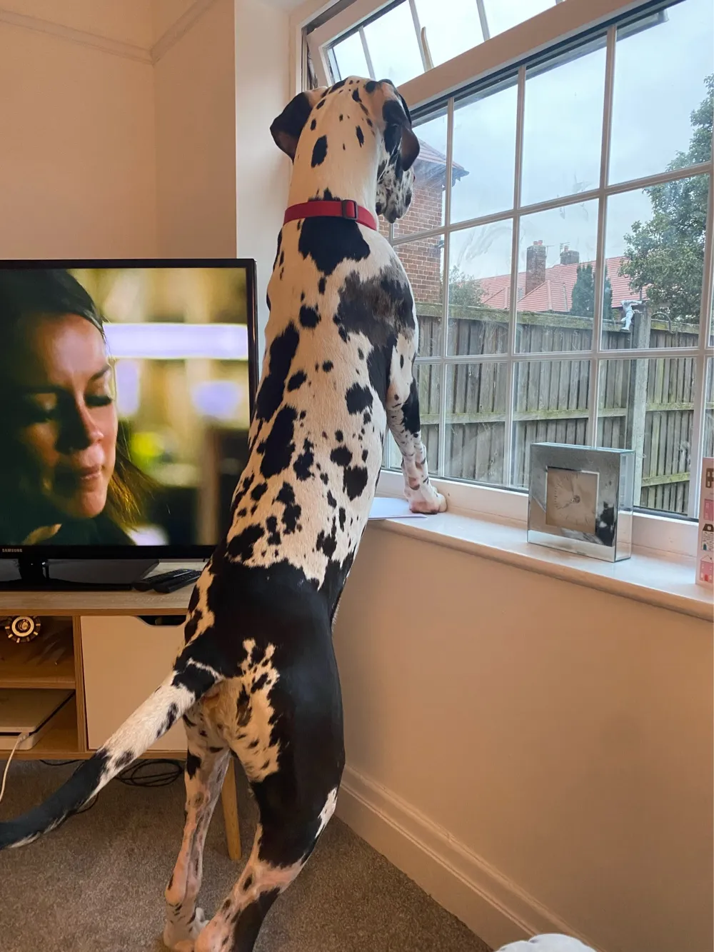 How He’s Grown 😂