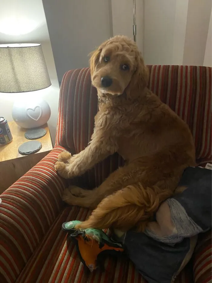 Otis - Thinks He’s A Human