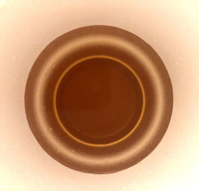 Melted Ice And Tea In The Bottom Of A Styrofoam Cup. If You Zoom In You’ll See My Phone Reflec
