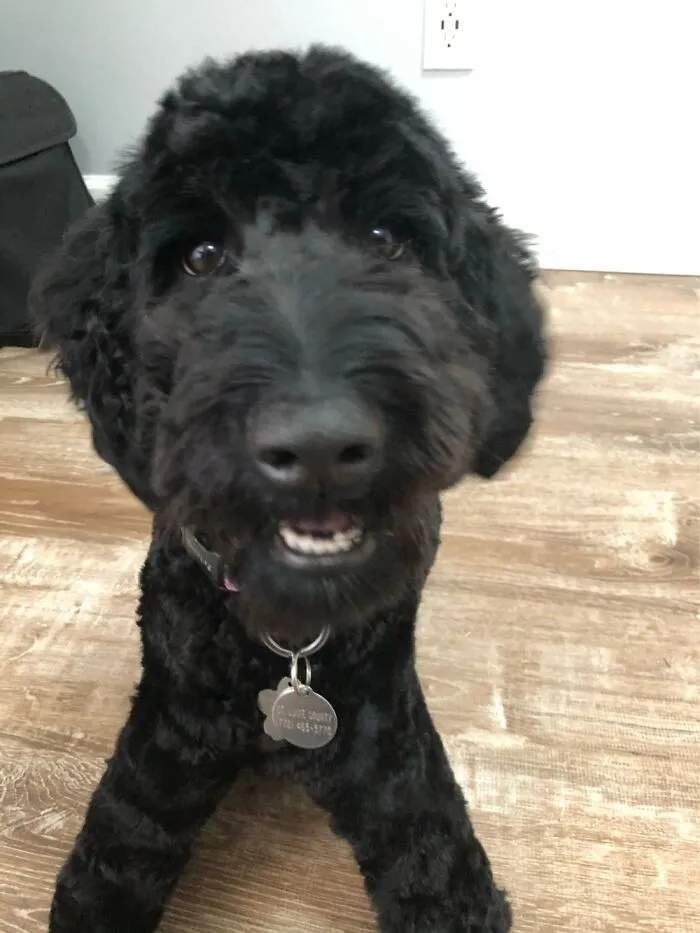 White Teefs :)