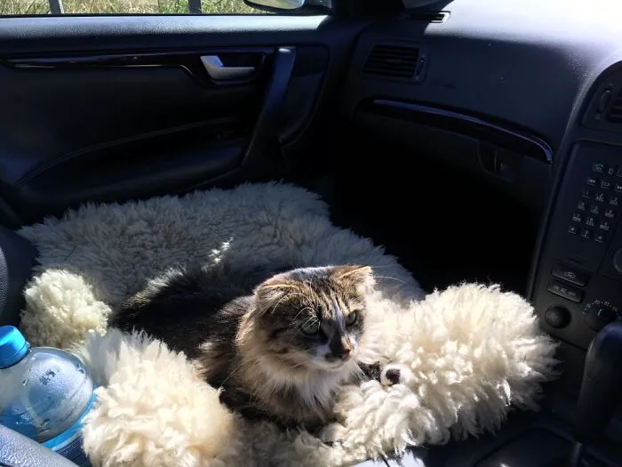 Headed To The Beach…