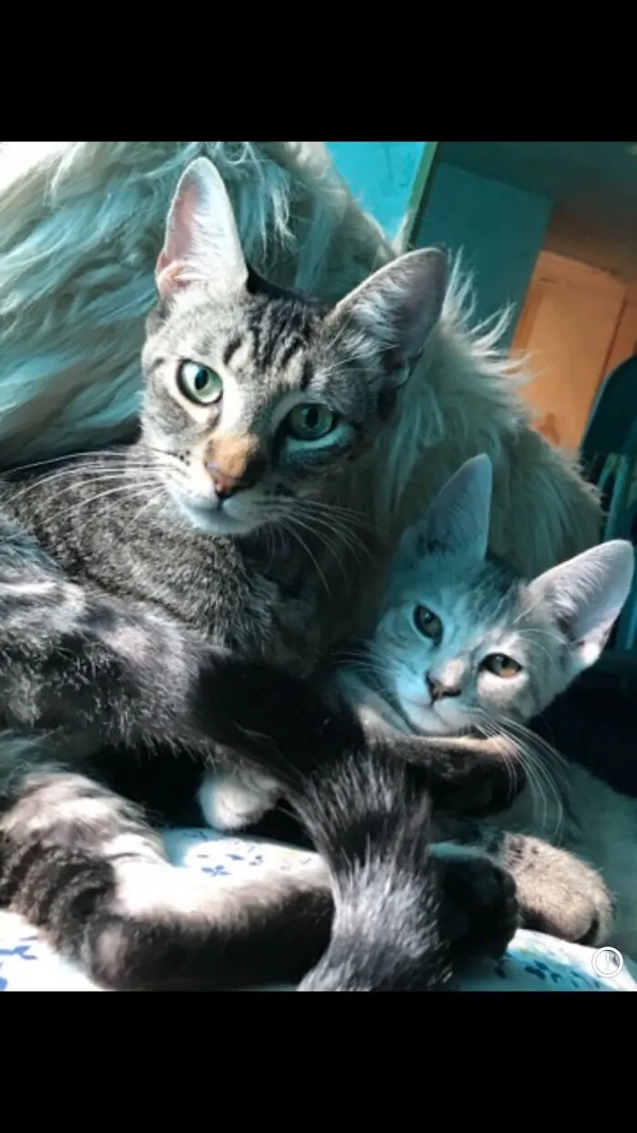 Mai And Maggie