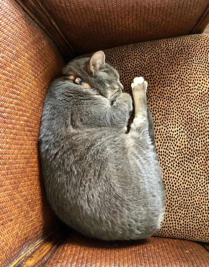 Sweetest Girl
