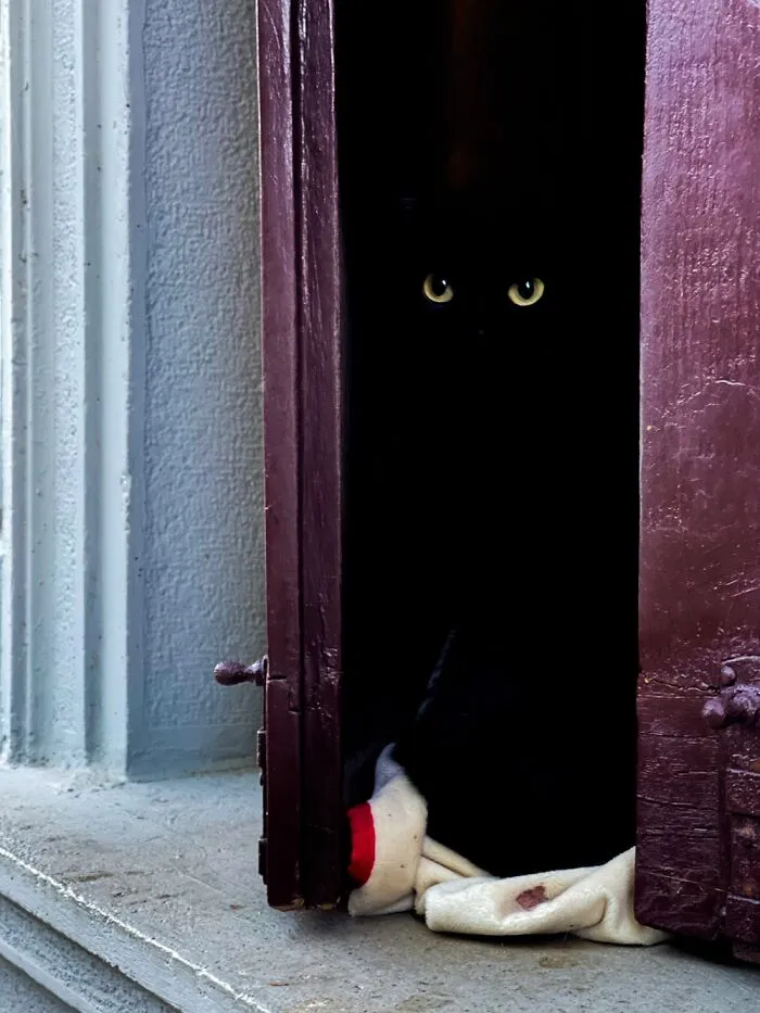 It Lurks…