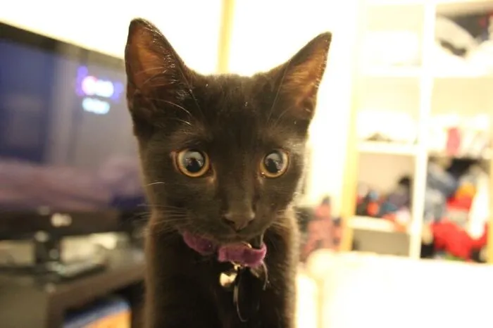 Cute Little Baby