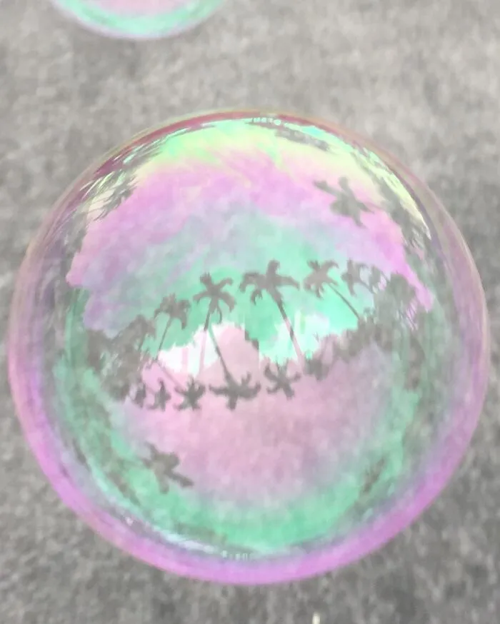 Palm Tree Bubble. iPhone.