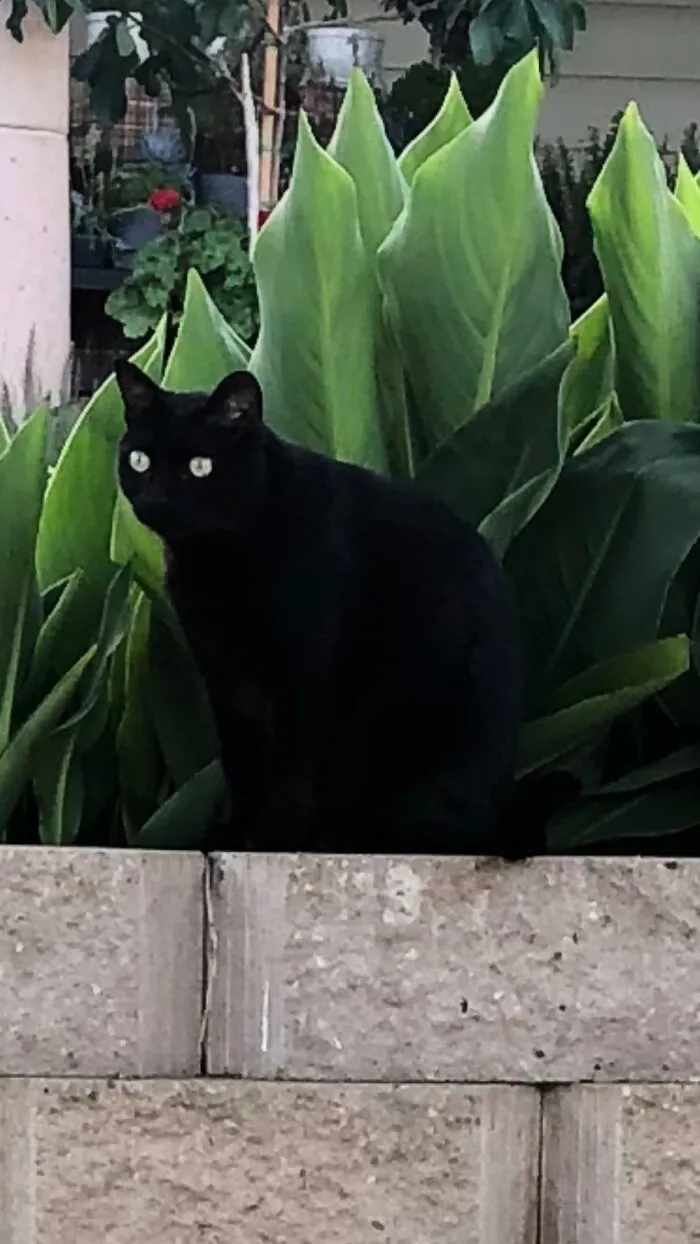 You Are Under My Watch...jinx