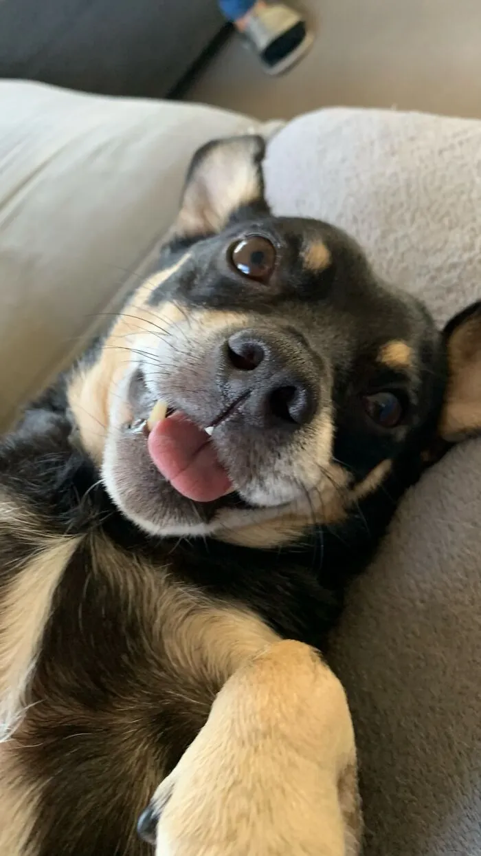 Happy Hugo !