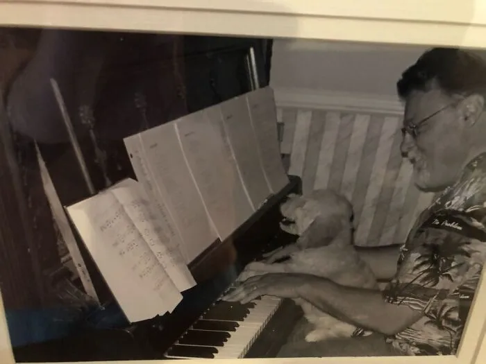 Abby Had A Special Talent We Discovered When She Was Just A Puppy. She Played Better Than Me!