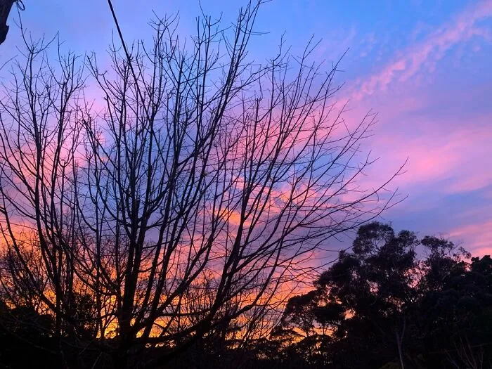 Autumn Sunrise