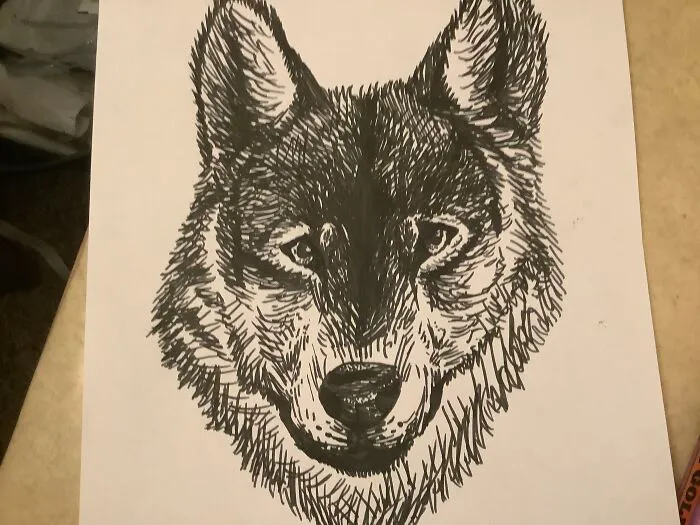 Made This In One Day. I’m 10