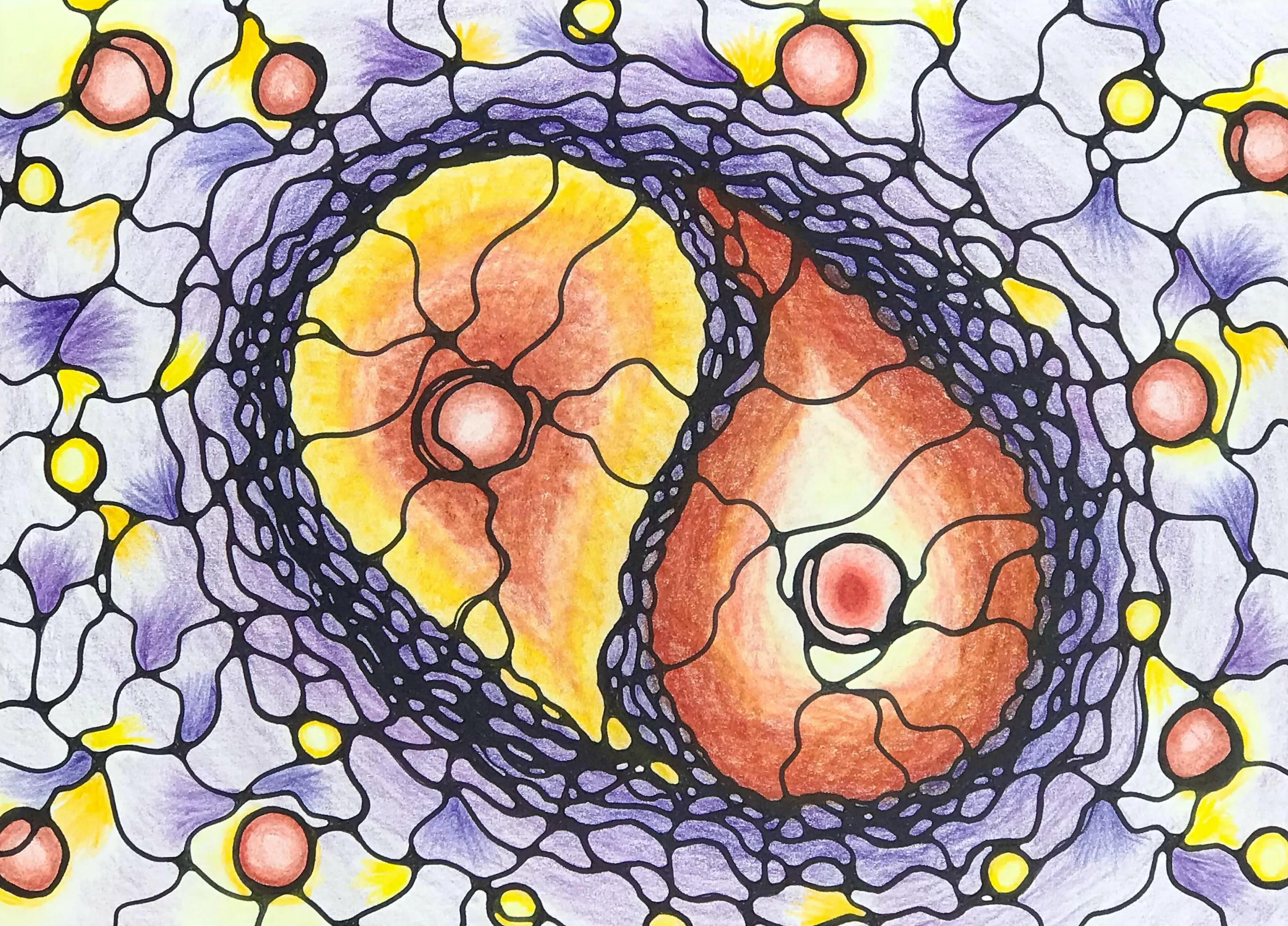 Cell Cycle.
