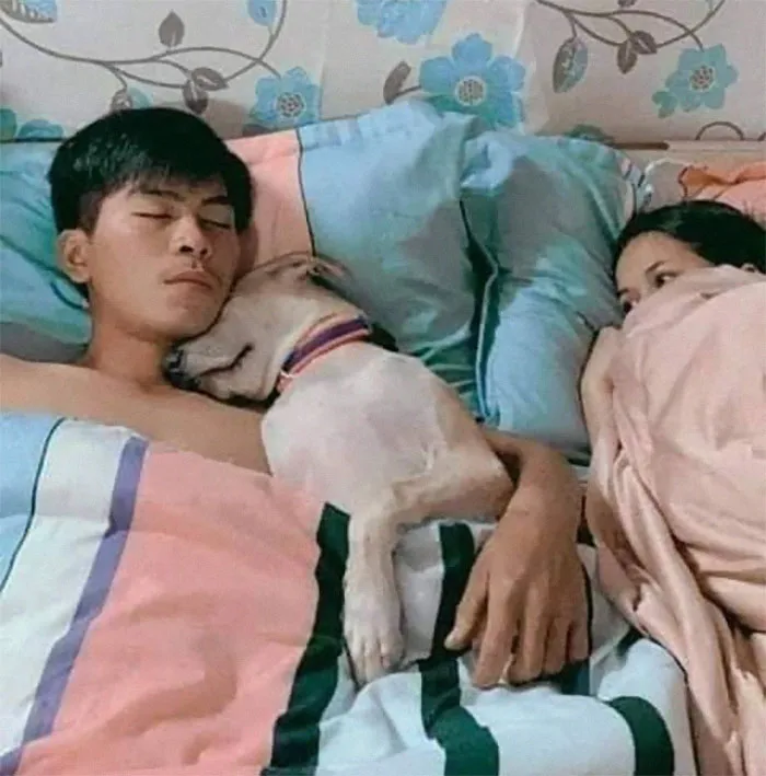 Esta página de Facebook está llena imágenes de animales que hay que ver (40 fotos nuevas)