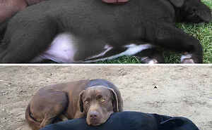 50 Interesting Comparison Images To Give You A New Perspective (New Pics)