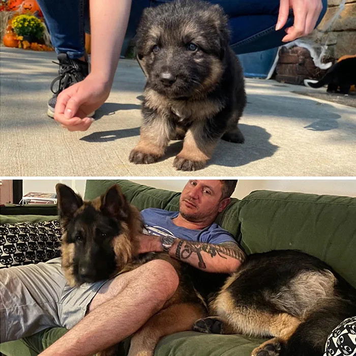 My Wife Said He Wouldn’t Get That Big, But He Got Big