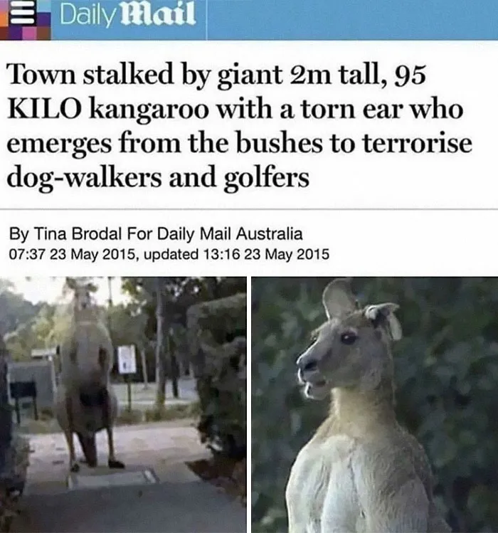 Had To Search Up If It Was Real