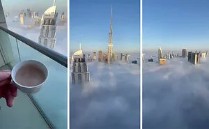 This Online Group Posts Pics Of Massive Things That Are A Big 'Nope' For People With Megalophobia