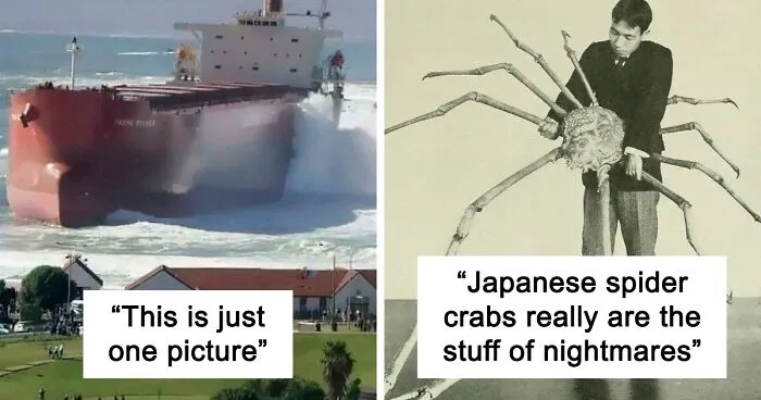 This Online Group Posts Pics Of Massive Things That Are A Big 'Nope' For People With Megalophobia