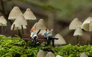 35 Photos Of My Miniature Worlds And The People Who Live There (New Pics)