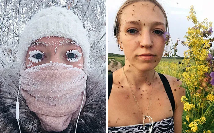 Siberian Seasons. Frost & Mosquitoes